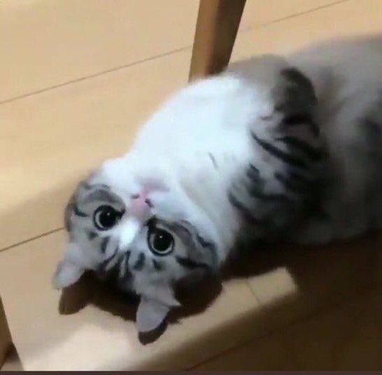 🤧
