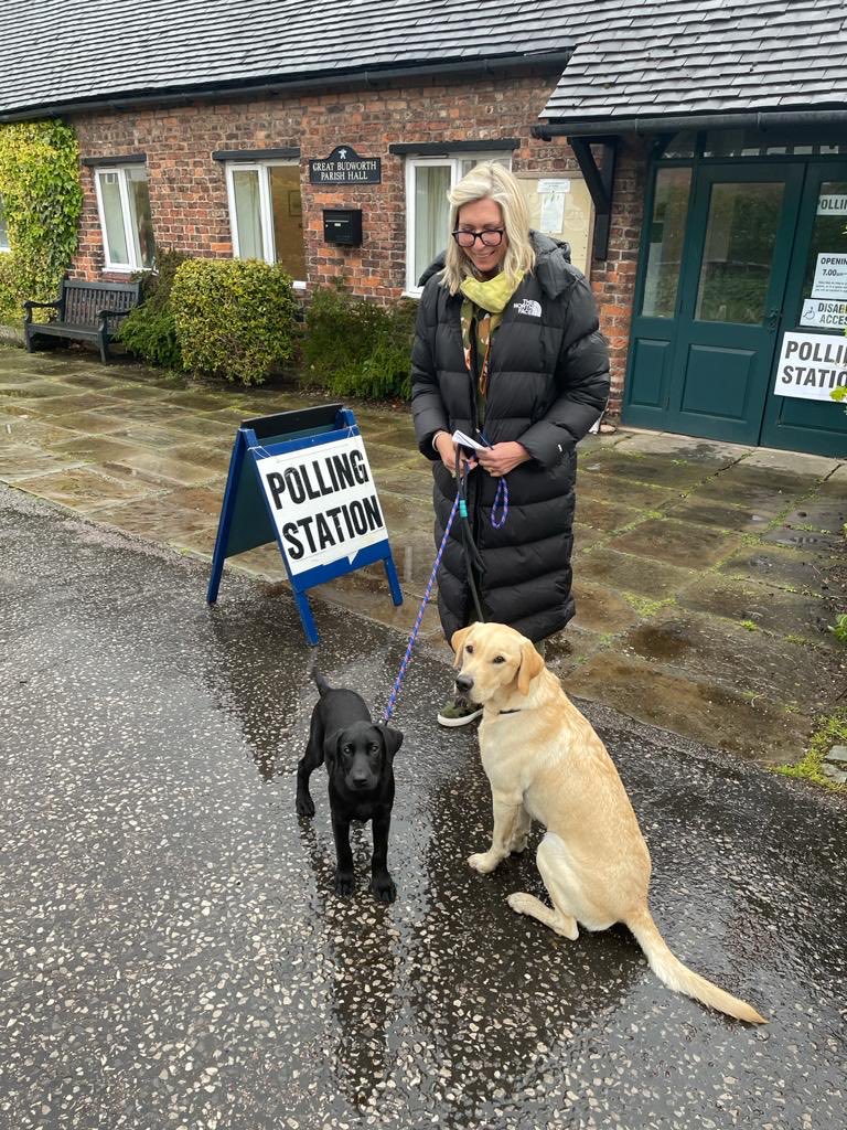#dogs@pollingstations