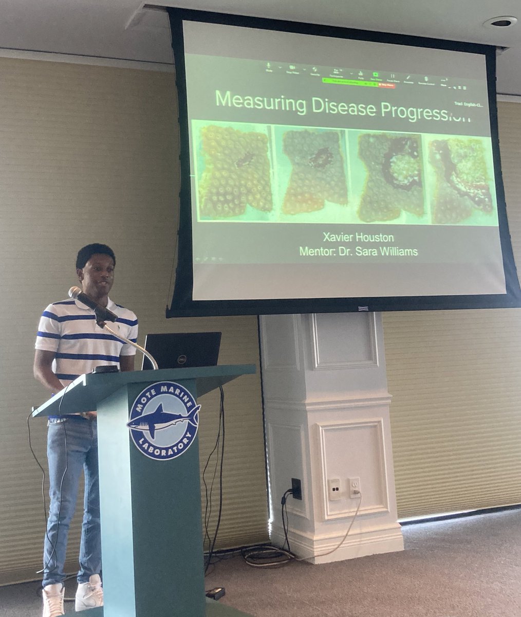 Dr. Sara D. Williams tweet media