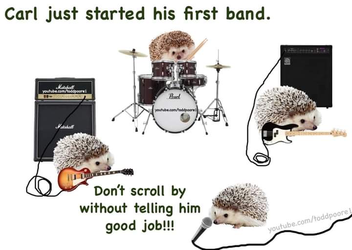 MojoTheGray's tweet photo. Drunk guys always start a fight, stoned dudes always start a band.
#GoCarl @mrvichitzza https://t.co/1f8K8FGJN5