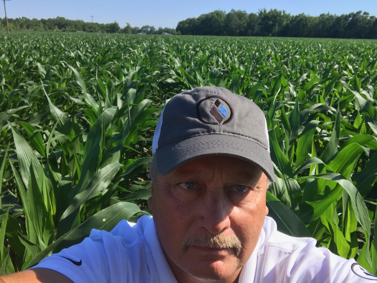 Innvictis's tweet image. Standing in some shoulder high A1548 in Franklin parish this morning.  Louisiana got some much needed sunshine this morning! Thanks to our SAM, Bruce Jones,  for stopping to take this selfie! Looking good Bruce! 

#plant21 #simplot #corn #innvictisseedsolutions