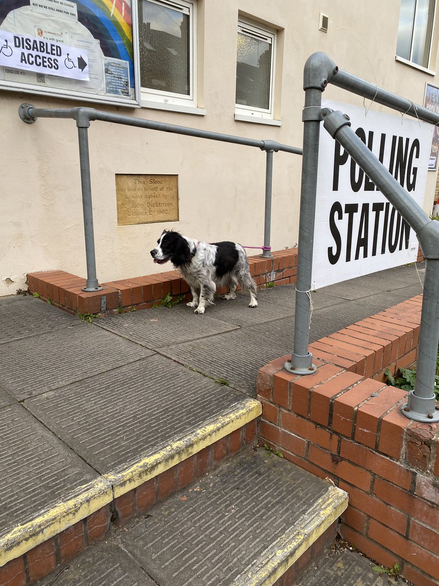 lucydore1's tweet photo. #dogsatpollingstations 💚 https://t.co/2IjOMQk1Qf
