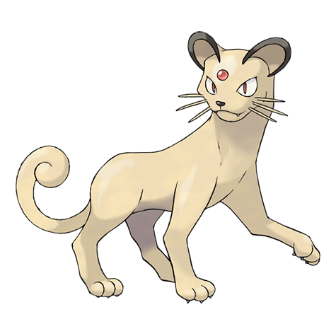 4) Dermatology - PersianThis preening beauty is often found strutting majestically around watering holes. It may be distracting, but don't make any rash judgements, it's queen for a reason. Strengths: precision, salve attackWeaknesses: fire types, immunology lite, starbucks