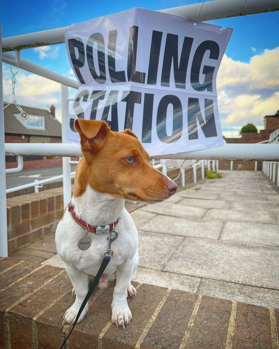 aranmc91's tweet photo. Today Harris cast his ballot for :
✅ Increased Treat Provision
✅ Mandatory Daily Fetch
✅ Nationalisation of walkies
And I support his choices! #DogsofPollingStations https://t.co/rfrt0Kx5Ln