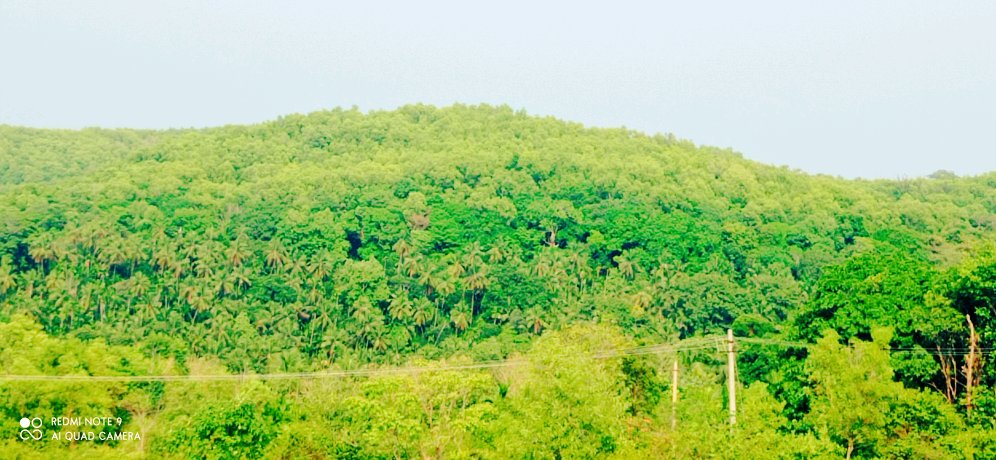 FABULOUS day ☀️😁 The sun was not too strong 👍 So I went on an AMAZING walk in Gokarna near Kudle beach ⛱️