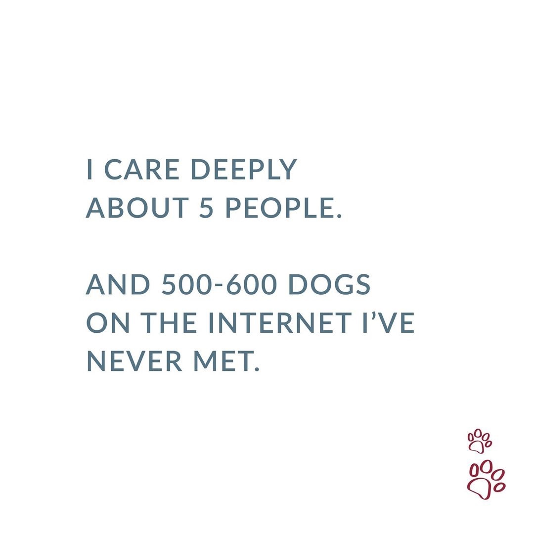 We know we're not alone here. 😉 #DogsAreTheBestPeople 🐶

📷 @campbowwownola

-
-
#vdog #vdogfood #dogmemes #dogsarethebest #dogsarethebestfriends #dogsoverpeople #vegandogsquad #dogdays #happydoghappylife #dogstagram #dogsofinsta