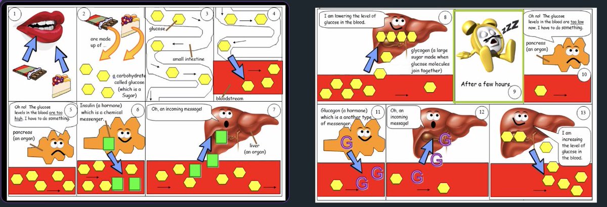 PracticeScience's tweet image. Expert Explanation from @mrkingstsci  - so so many top tips! Favourite top tips!
• Using glucose control graphs as well as allowing students to share their personal experiences of diabetes if they feel comfortable.
•Fab cartoon strip to show the negative feedback of insulin