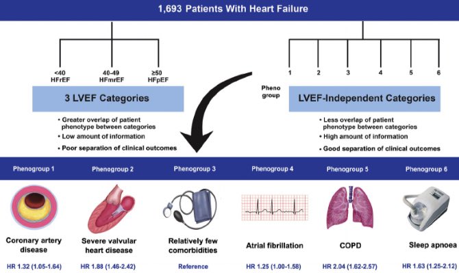 VERY excitedto see our paper published  @ESC_Journals  #ESCHeartFailure: “Clinical phenogroups are more effective than LVEF categories in stratifying heart failure outcomes”Thread  