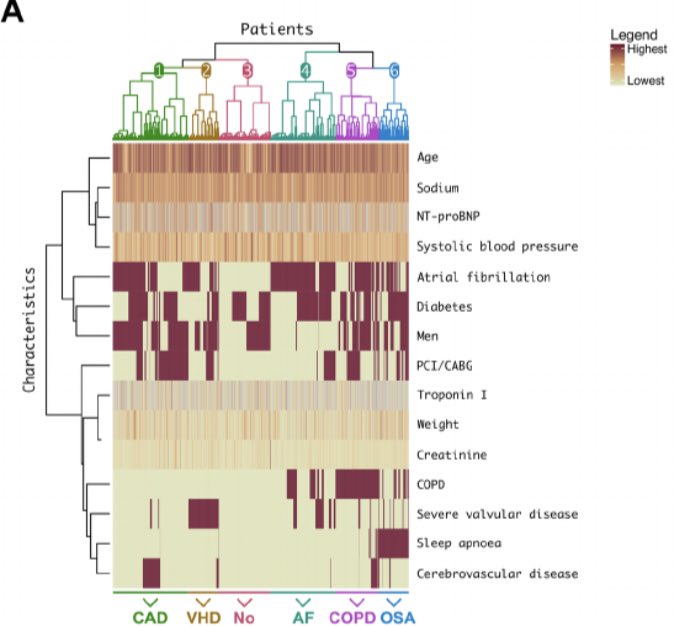 We found 6 clinical phenogroups, each characterized by a predominant comorbidity: coronary heart disease, valvular heart disease, AF, sleep apnoea, COPD, or few comorbidities.