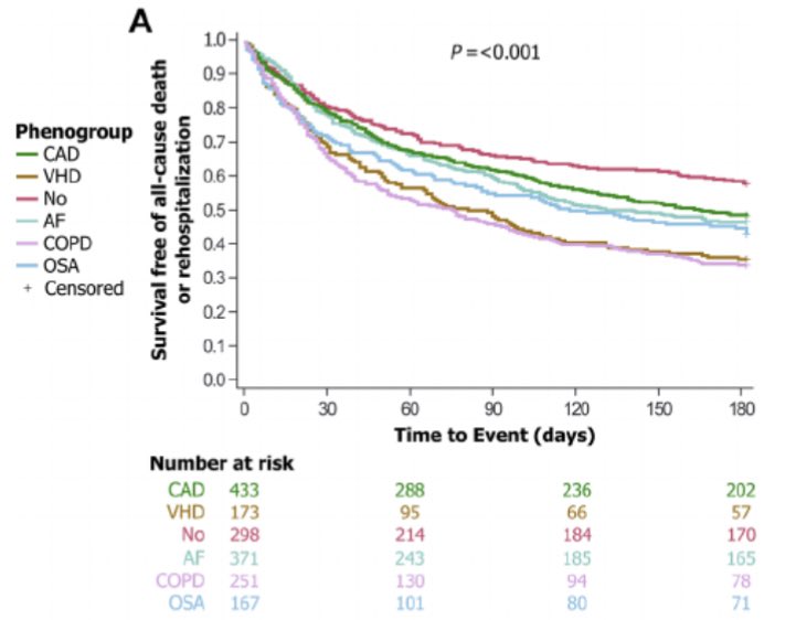 Finally, phenogroup-based classification better separated outcomes than LVEF categories. Figures show all-cause  or  at 6mo, similar results at 12mo and for cardiovascular  or HF  at 6 and 12 mo.