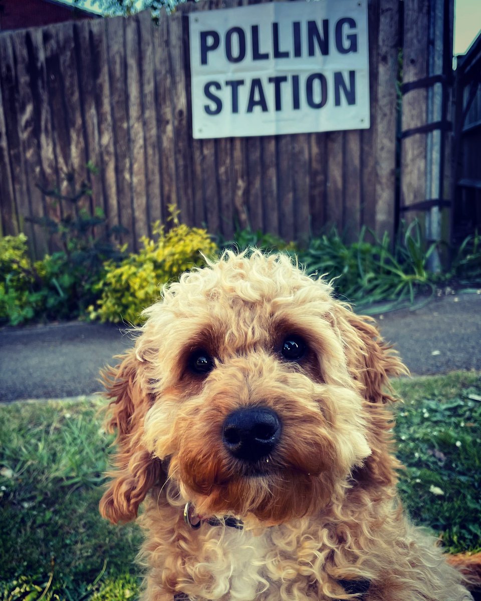 JenniHollobone's tweet photo. Fred was delighted to pop his paw print on a ballot paper for the first time! He voted for treats for everyone 🐾 
#dogsatpollingstations https://t.co/28dPZVTnzV