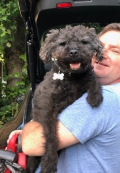 millypod1's tweet photo. 🆘27 Apr 2021. OWNERS WERE STAYING IN A HOLIDAY LET. LOCAL HELP NEEDED PLEASE😢
PASHA #Lost #ScanMe #Tagged
Black / White Around Her Eyes
OLDER Patterdale Terrier Female #RESCUE
#Hillcommon nr #Oake #Taunton #Somerset #TA4 SIGHTINGS PLZ ☎️07528393933
https://t.co/0R2Ty5u7R4 https://t.co/Pd9qeC0plC