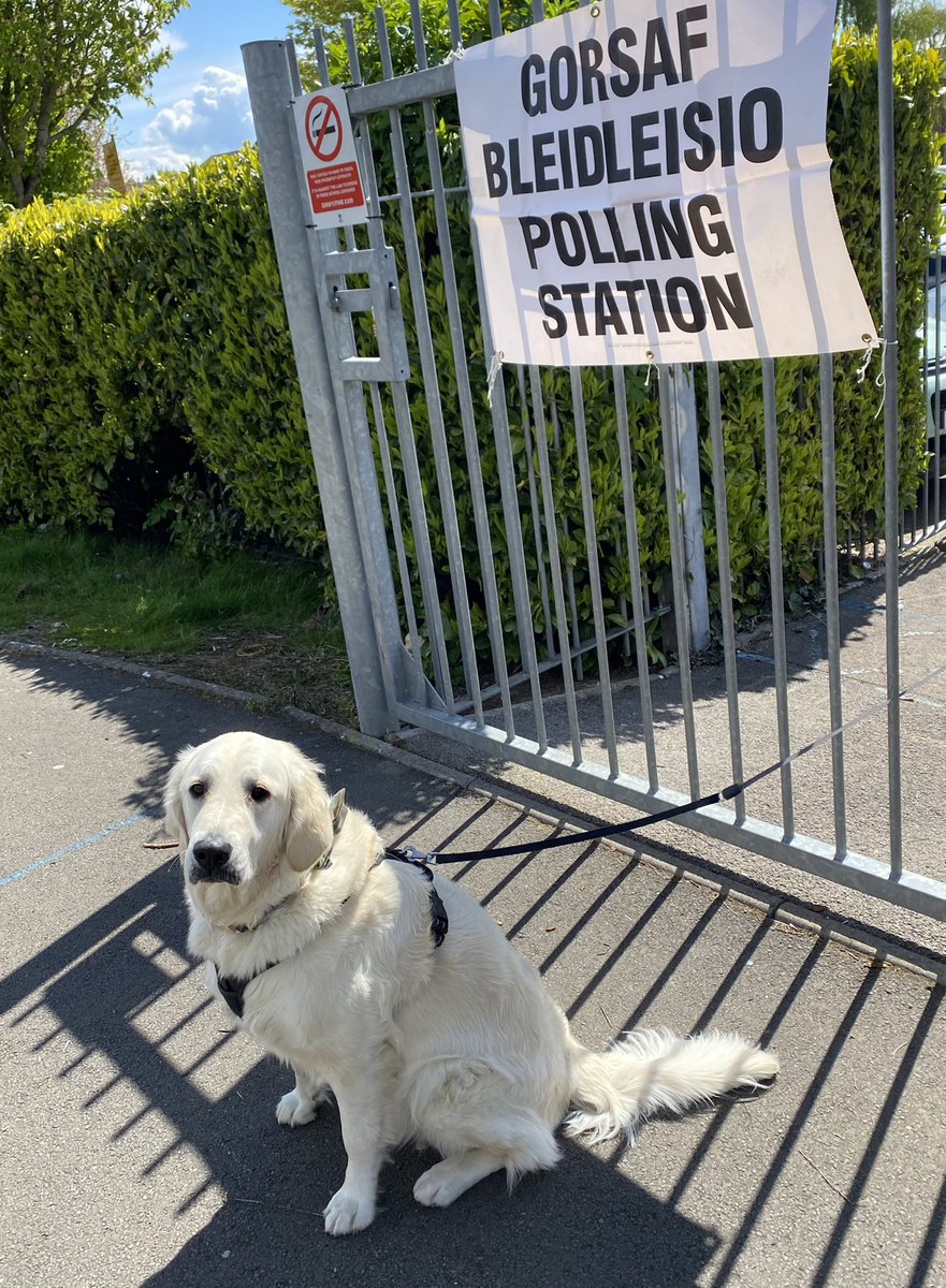 Milly May tweet media