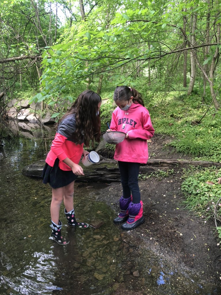 ddelduca tweet media