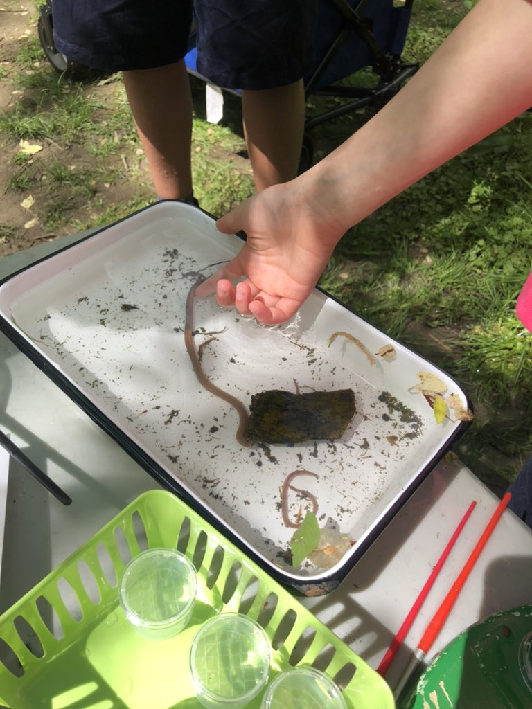 ddelduca tweet media