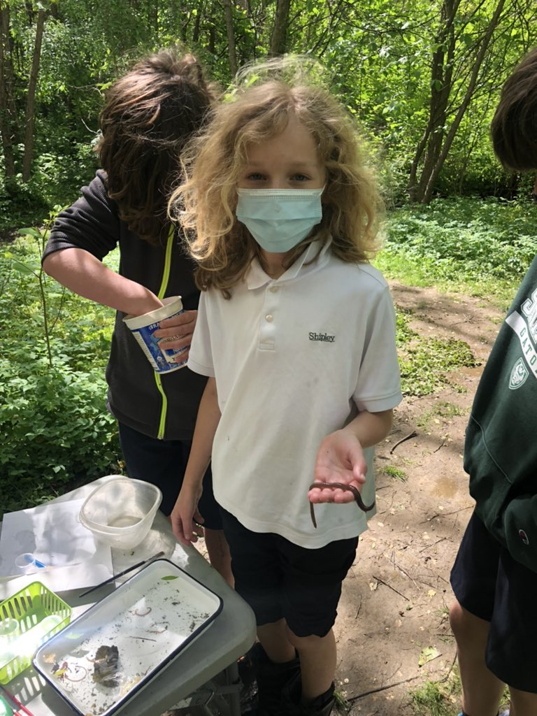 ddelduca tweet media