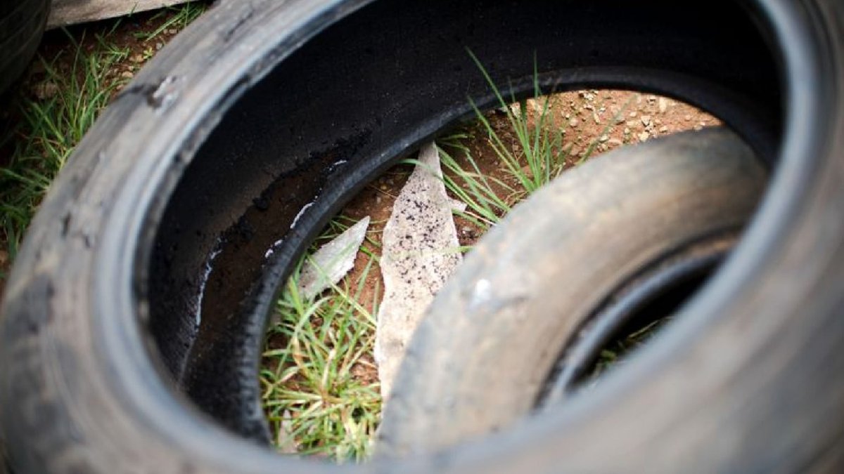 expressourb's tweet image. Você conhece alguém que pegou dengue em #Caieiras, #Cajamar, #FrancodaRocha, #FranciscoMorato ou #Mairiporã? Saiba o que as Prefeituras estão fazendo para combater o #aedesaegypti no nosso site: bit.ly/3elJzeY