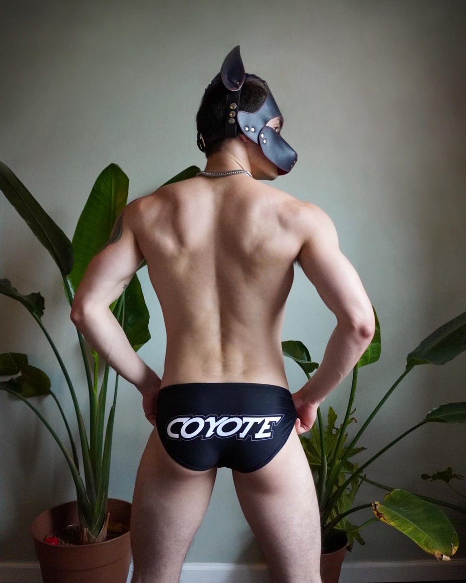 Puppy ready for sun 🌤 @coyotejocks