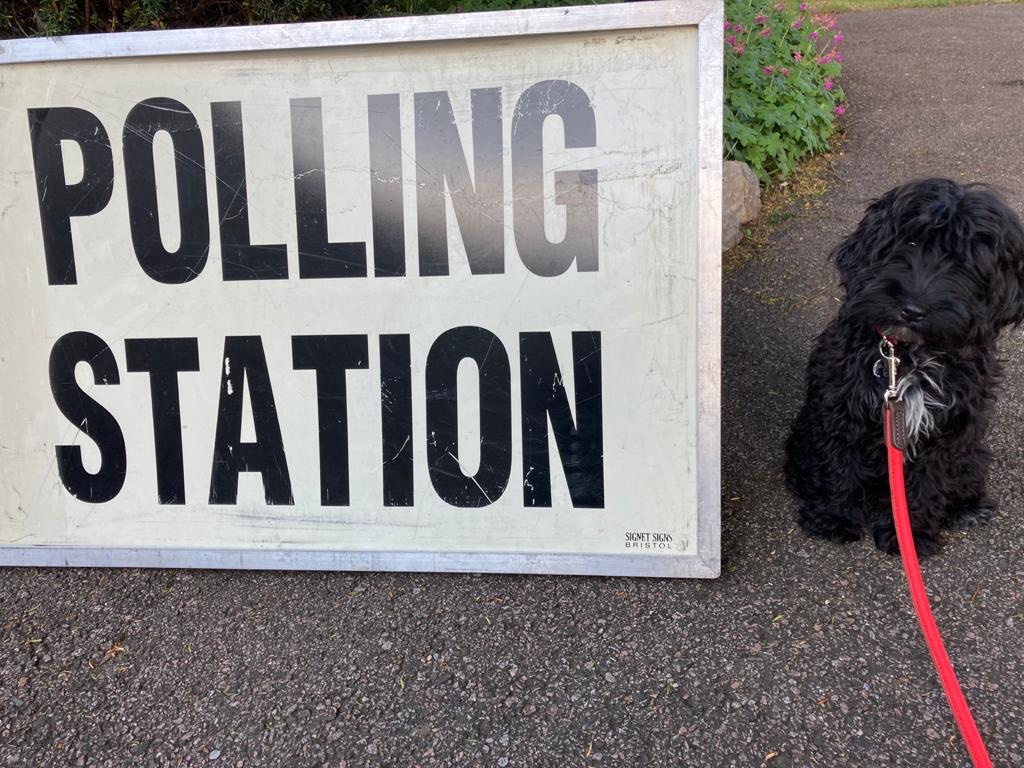 #dogsatpollingstation