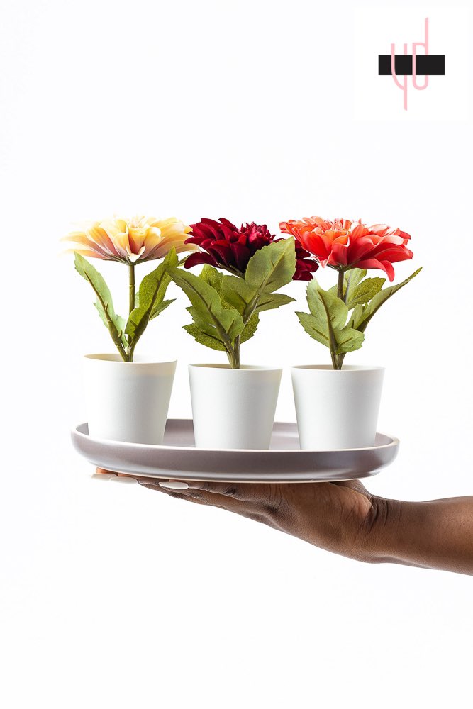 Potted Faux Dahlia, 3-piece.

GHS 70

Description
=========
-Suitable for indoors and outdoors
-6 cm
-Ceramic plate not included

#space
#accents
#myspace
#decorghana
#yoursdecorly
#ghanahomes
#lifestyleghana
#interiordesigns
#interiordesigngh