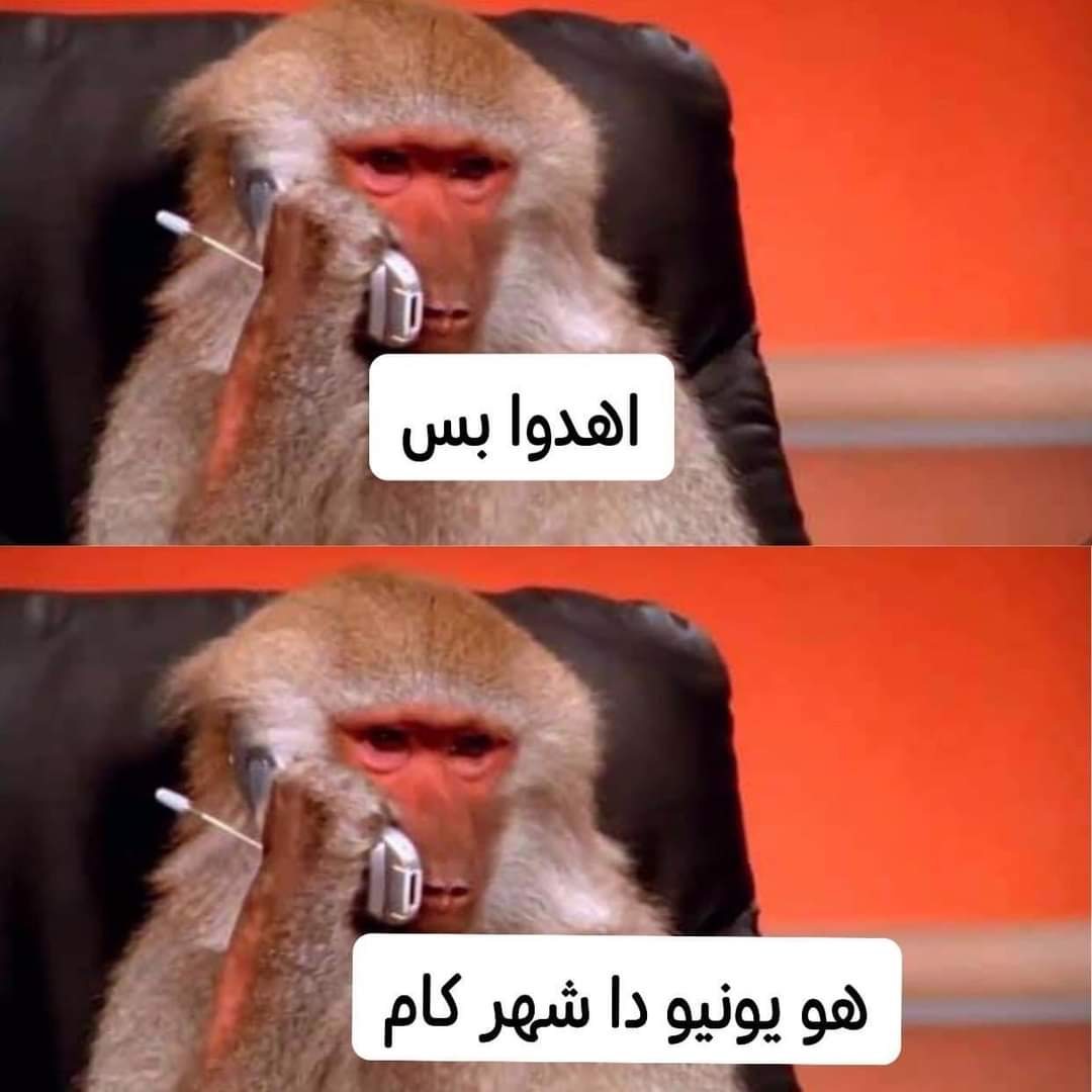 وزير التعليم العالي قرر. ان الامتحانات بدايه شهر يونيو 

الطالبه 👇👇