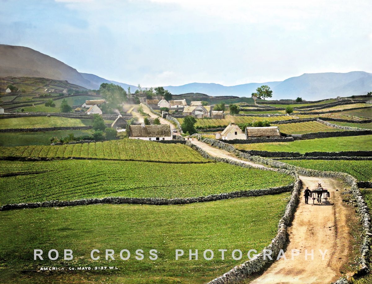 Bringing #Ireland's History to Life. 🇮🇪 🇺🇸
My restored and colourised 1890 Robert French photo
of this stunning road in a place called America in Cloghbrack, County Galway which was once in County Mayo due to a border shift between #Mayo and Galway in 1898.
#TheWayWeWere #Galway