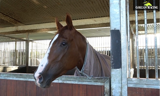 Gollan Racing (@tonygollan) on Twitter photo THE FINAL GALLOP
π Aquis Park <a href="/GCTurfClub/">Gold Coast Turf Club</a> tomorrow
π’ Tony Gollan
π΄ Tavion Prince
π΄ Just Orm
π΄ Sugar Boom
π΄ Niedorp
π΄ Capital Connection
π΄ Macewen
π΄ Baller
π΄ Good Soize
π΄ The Actuary πΈ
π΄ Goldifox
π΄ Purroni
π° Cavβs Corner
βΆοΈ vimeo.com/545795430 THE FINAL GALLOP
π Aquis Park <a href="/GCTurfClub/">Gold Coast Turf Club</a> tomorrow
π’ Tony Gollan
π΄ Tavion Prince
π΄ Just Orm
π΄ Sugar Boom
π΄ Niedorp
π΄ Capital Connection
π΄ Macewen
π΄ Baller
π΄ Good Soize
π΄ The Actuary πΈ
π΄ Goldifox
π΄ Purroni
π° Cavβs Corner
βΆοΈ vimeo.com/545795430