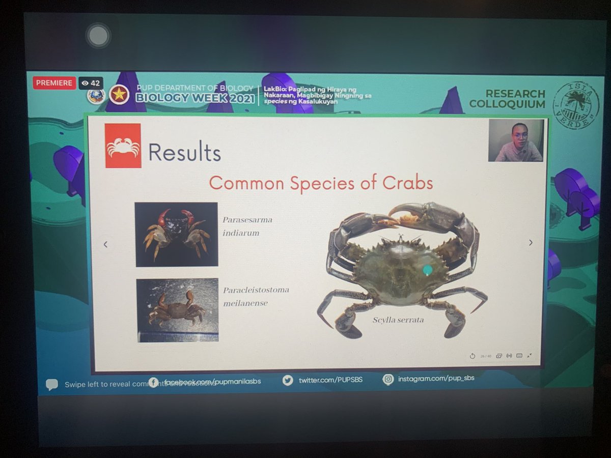 Common species of crabs