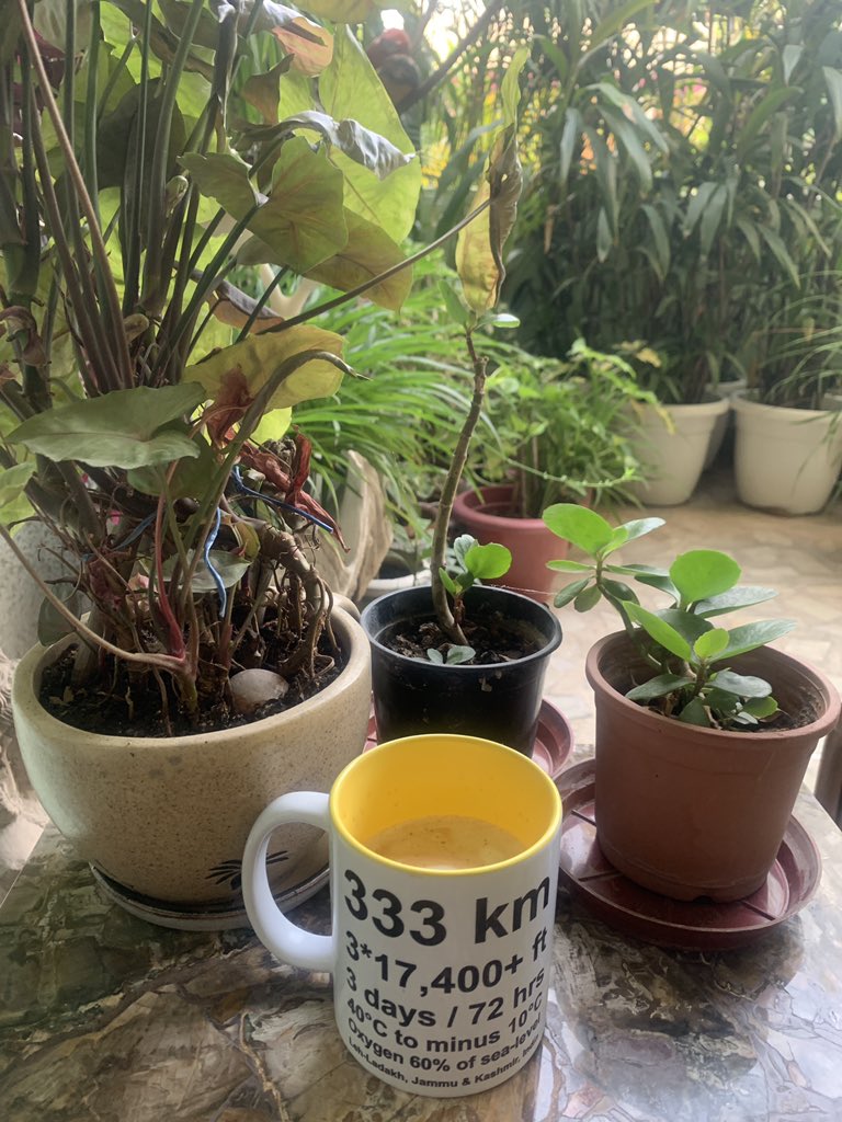 christinedelhi's tweet image. Inspirational mug time, before I head down to my driveway to walk up &amp;amp; down &amp;amp; up &amp;amp; down &amp;amp; up...

#lockdown2021 #lockdownexercise 

@LaUltra555 @drrajatchauhan