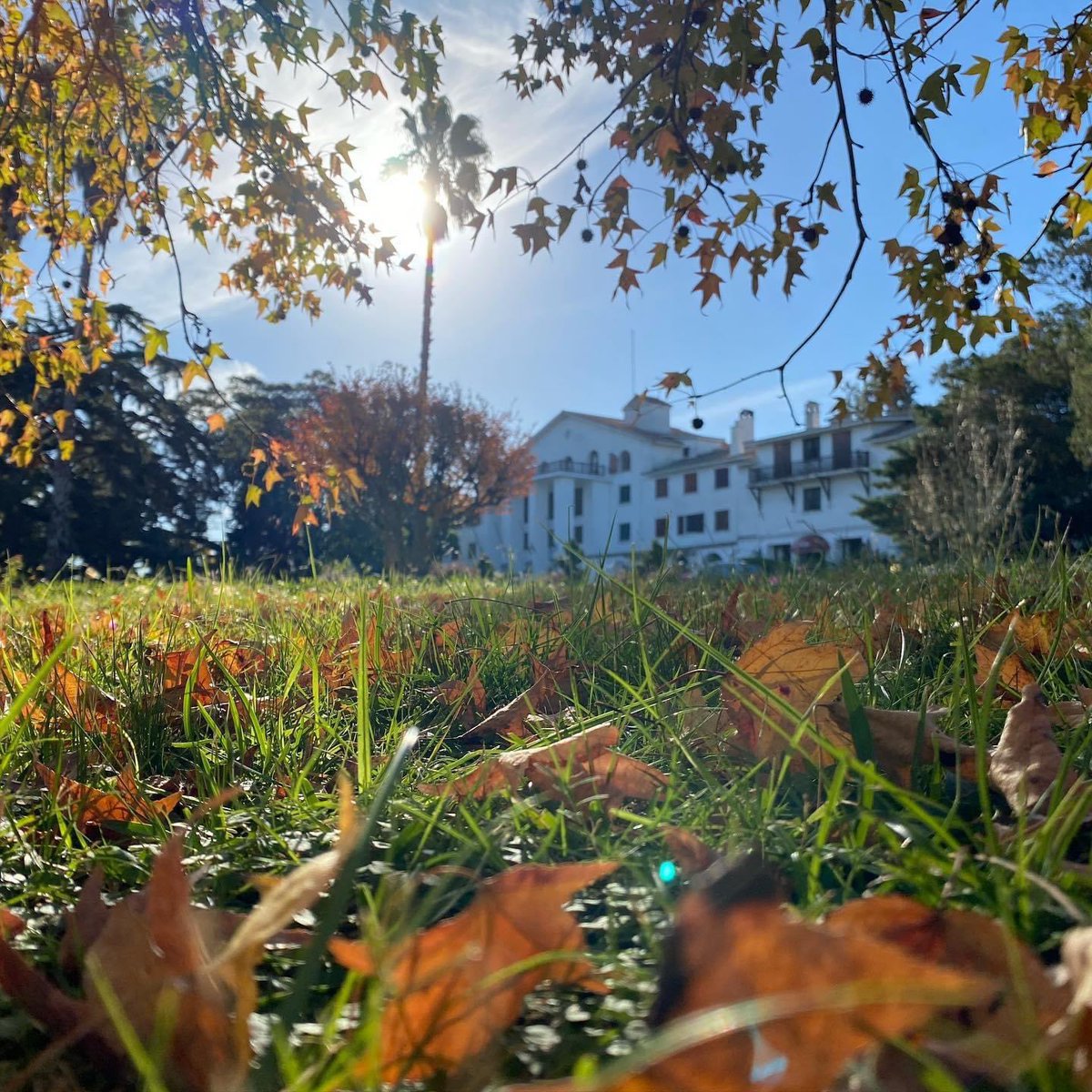 Otoño en <a href="/hotelnirvananh/">Hotel Nirvana Colonia Suiza</a>   Un mundo aparte, muy cerquita de tu casa.