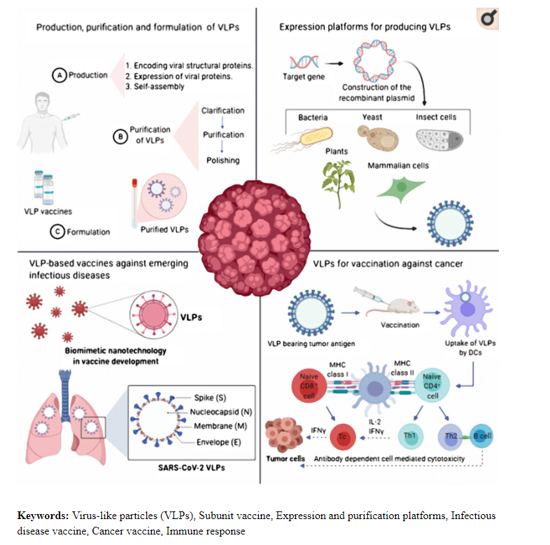  Qu'y a-t-il dans les nanoparticules de lipides de ces vaccins ?Est-ce qu'ils contiennent ce parasite transgénique (4ème photo)? Est-ce que ça pourrait expliquer tous ces effets secondaires et/ou mortels ? #NonAuPassSanitaire