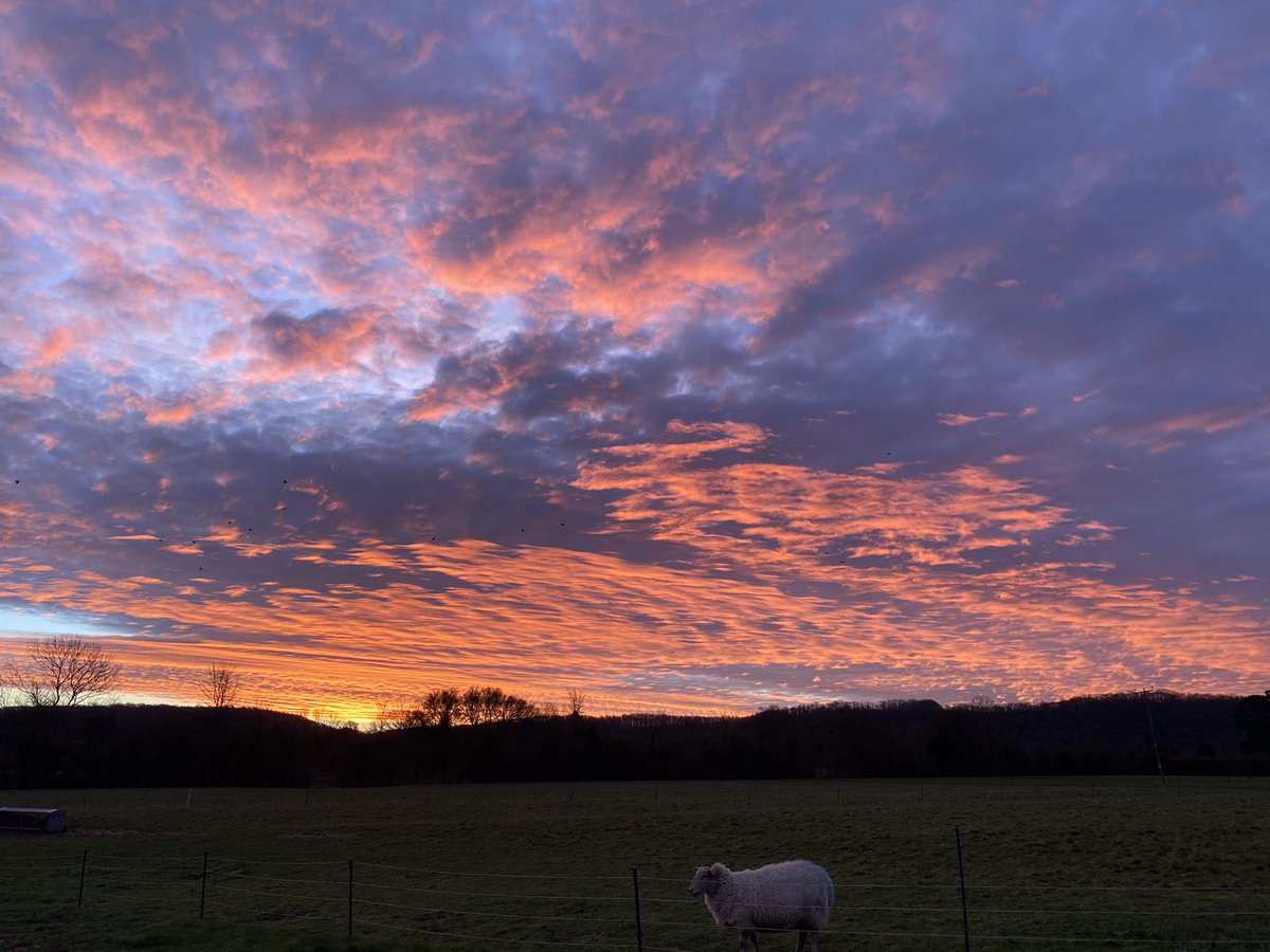 SomersetIRads's tweet photo. Come join our radiology team with this great opportunity for a band 6 CT radiographer-  cardiac CT, colonic  CT and a growing CT intervention service. ... and these sunsets! We’d love to meet you so get in touch ! #innovation #worklifebalance #bestofbothworlds https://t.co/5PbiJ9aBXP