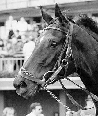 BettingSitesCom's tweet image. Ruffian