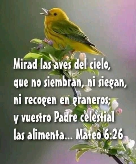caica14's tweet photo. No he visto justo desamparado https://t.co/8QTThxk8wQ