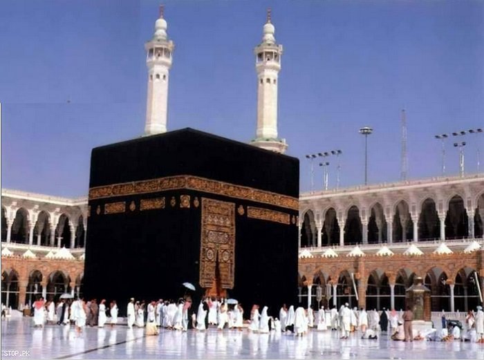 Rahilah_Lone💙🦋 tweet media