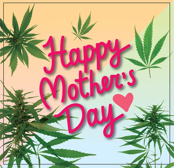 Shout out to all the moms out there!! Have an amazing day!!❤️
#happymothersday #stonermom #cannamom #cannabiscommunity #stonermoms #stonergirl #cannamoms #stonerchick #girlswhosmoke #cannabismom #momswhosmokeweed #mom #cannamomgang #smokeweedeveryday #realmoms #cannamama