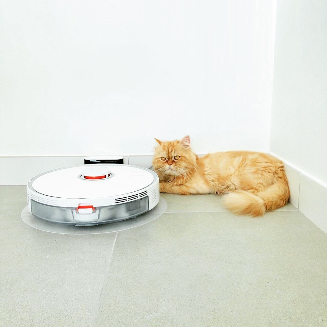 roborockaus's tweet image. @vaderthepersiancat

Oof, I never thought it would be this tiring to chase around a vacuum cleaner. I think it sucked all my energy too. Time for siesta then and again and again!
.
.
.
#roborocks5 #robotics #robot #robotvacuum #robots #cats #catsofinstagram #persiancat