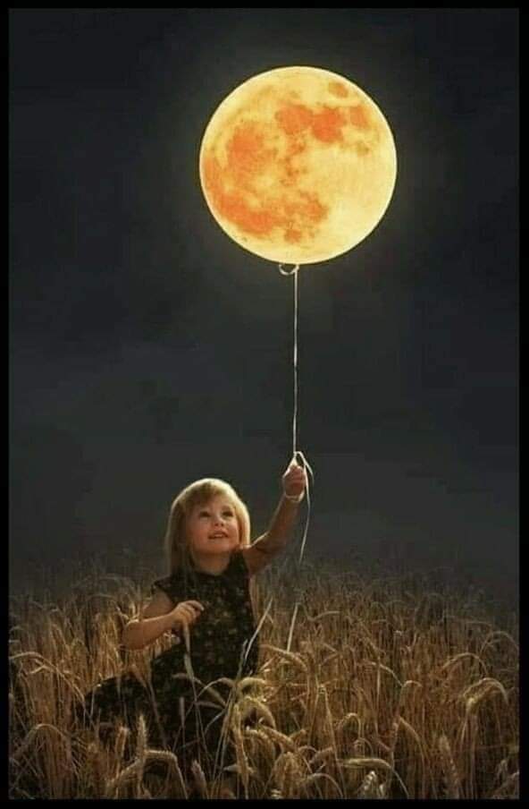 oyatari9's tweet photo. Umut her yerde🍀
Hissedebildiğin kadar yakınında
Varsın olmasın bugün
Yarının nelere gebe olduğunu bilemezsin....🌈
Kesme Yaşamdan Hayallerini
Her Gecenin
Bir Sabahı var...🌅
#Umutla
#Sevginle
#Karşıla
#Hergünü
Hayırlı Geceler
Hayırlı Sahurlar_______🌺 https://t.co/bOJq9AD3nc