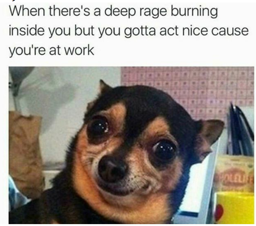KrishaWeb's tweet photo. Just work-place things!
Ever happened? ๐
#workvibes #workplacethings #workspace #officehumor #memeoftheday #workmemes #KrishaWeb https://t.co/UOJPsAFPvm