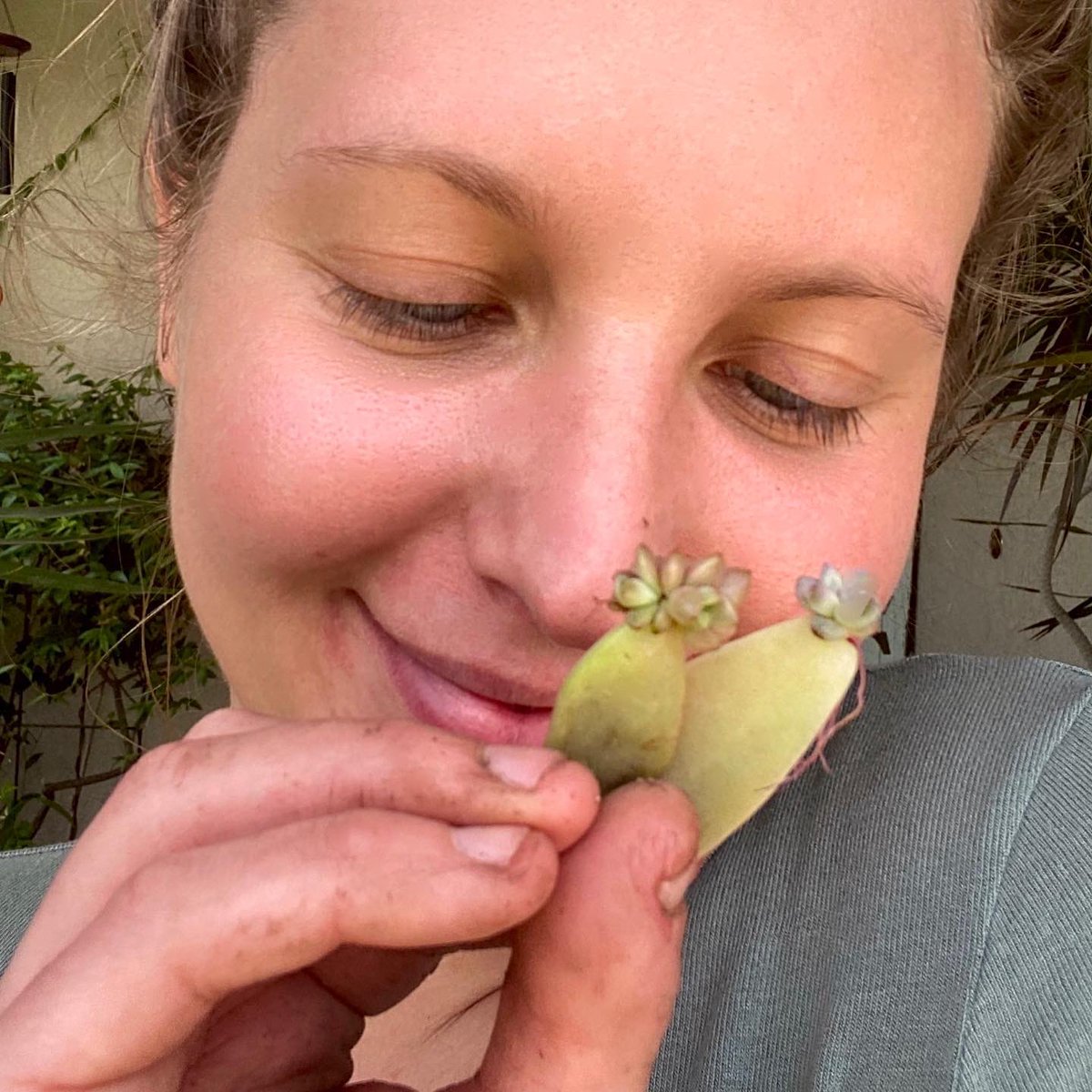 Felt cute might root later #succulent #propagation #babies #babyfever #familyportrait
