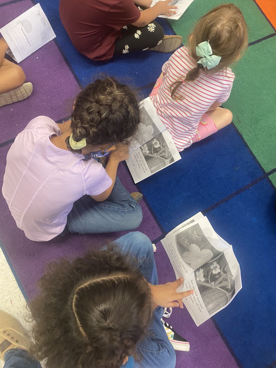bagoings's tweet photo. Decodable books are so important for beginning readers. They’re rocking it. #primaryliteracy @ReadandWriteBFF https://t.co/Fjw1jnTMom