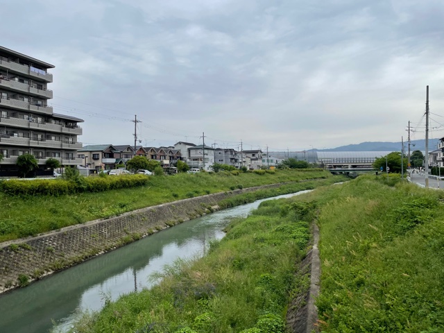 おはようございます！
京都市山科区、今朝の天候は曇りです☁
本日の天候は下り坂のようですね😰

#企業公式が地元の天気を言い合う 
#企業公式相互フォロー 
#京都の天気