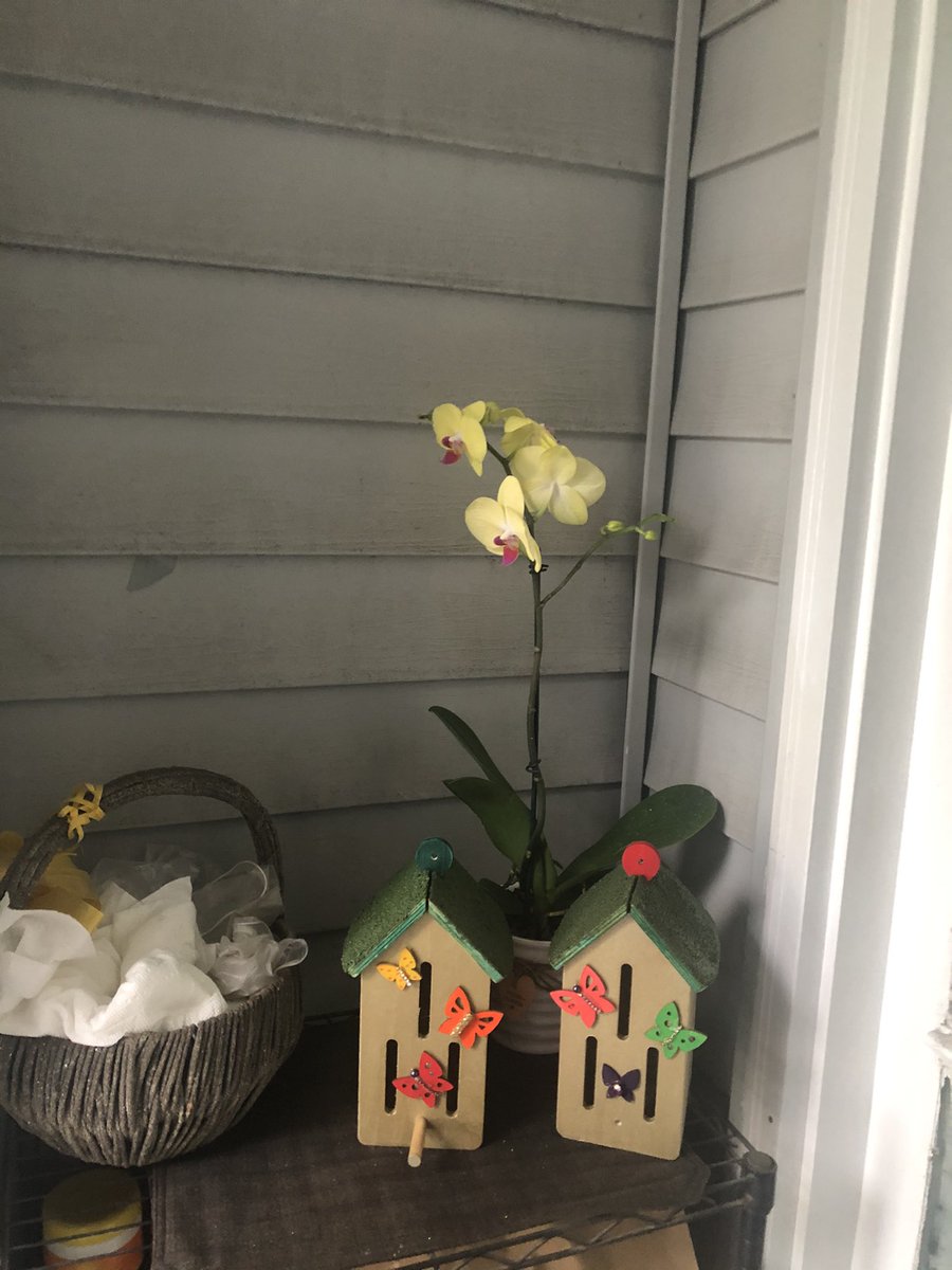 judithlee33's tweet photo. @Lowes #springfest #butterflykit #Lowes We had fun with our Butterfly Quest kit! Thanks https://t.co/McDVoQsg9r