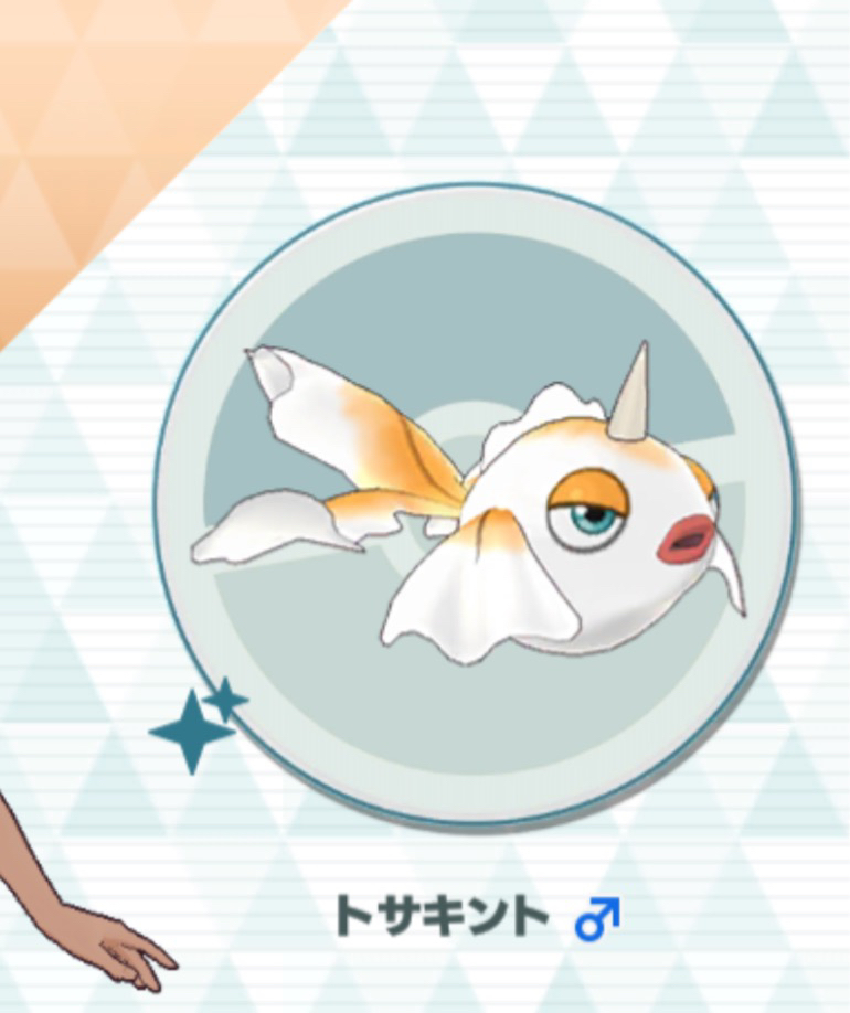 トサキント 鳴き声
