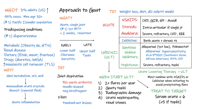 NUIM_Chiefs's tweet photo. Confused about that swollen toe? Dr. Kristen Carroll has your back with this #IllnessScript of #Gout created during her #TeachingElective @NU_IntMed with @DxRxEdu. #MedTwitter, please give us your feedback! https://t.co/37c8IYQ0C1
