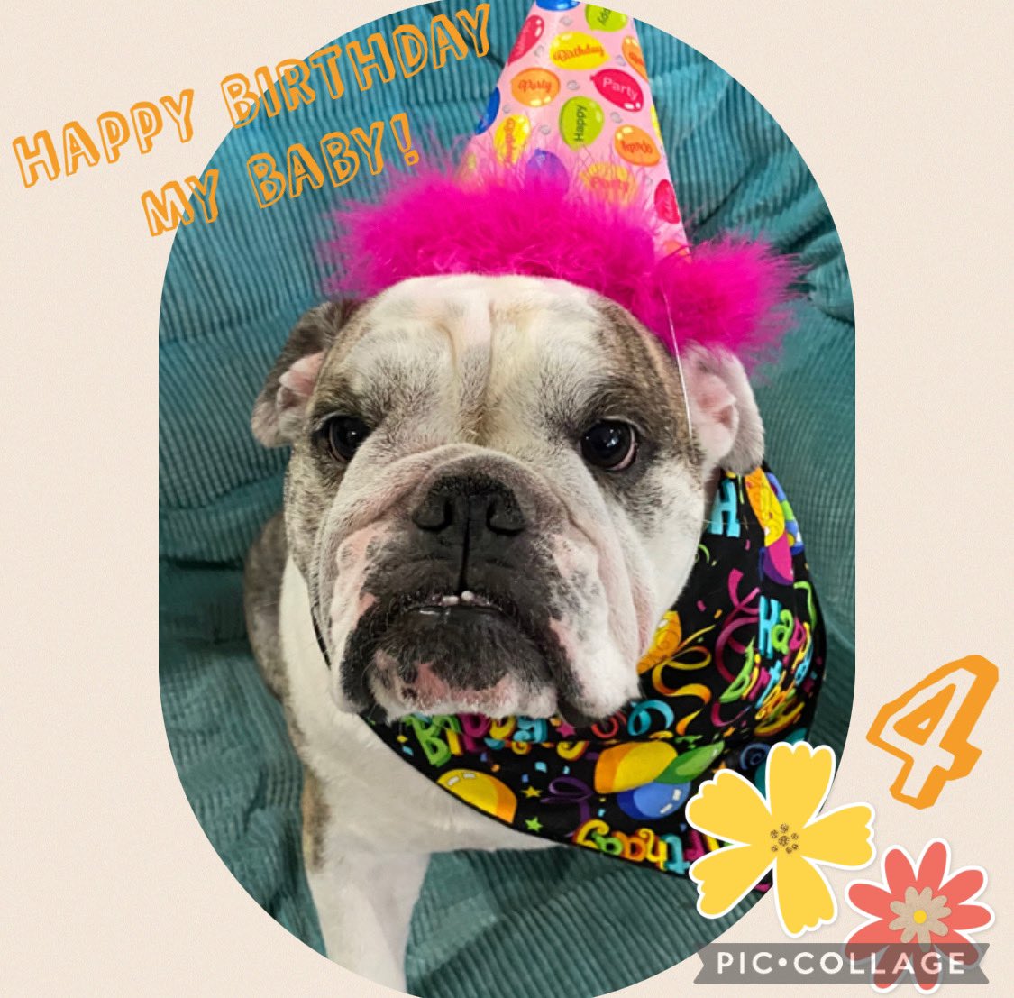 AnglerMasked's tweet image. Guess who’s 4 today??