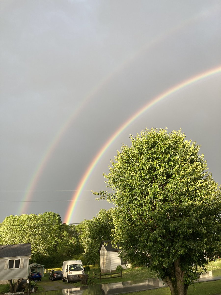 Melissa Oakley tweet media