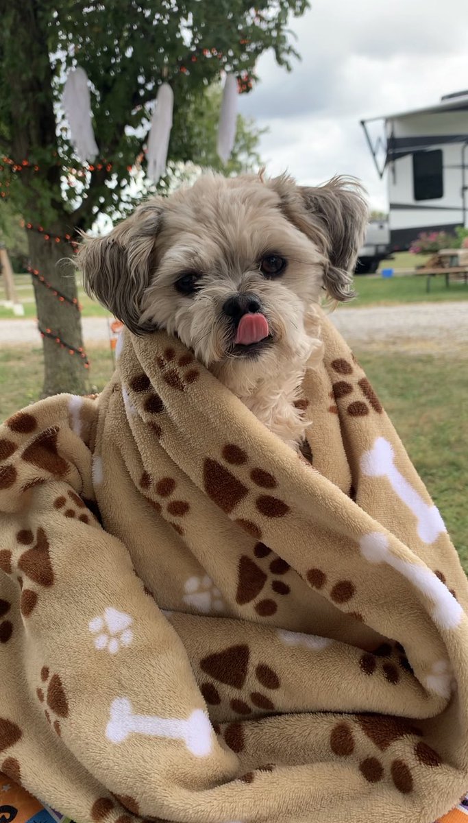 rip pringles pizza stix :( (@SadPizzaStix) / Posts / X, image size:683x1200