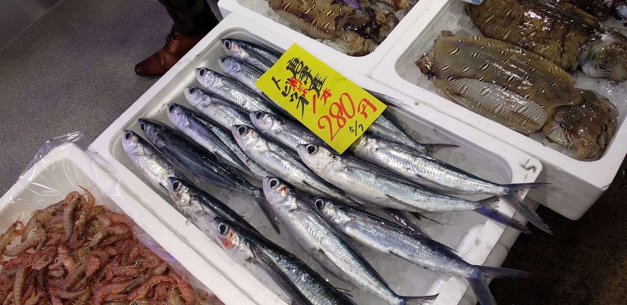 マリンセンターおさかな村 公式 鮮魚部イチオシのトビウオ 新鮮なのでお刺身で食べれますよー トビウオは九州では アゴ と呼ばれます 由来は諸説ありますがアゴが落ちるほど美味しいからと言われてます Google先生より 唐津 おさかな村