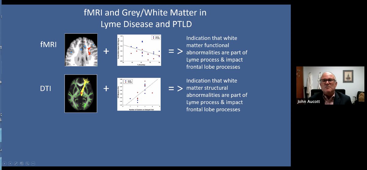 Additional measurable changes, joint changes, brain changes,  #LymeDisease